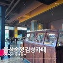 오프오브 | 울산 송정 카페 추천/ 여유로운 분위기의 오브오프(OF OFF) 로스터스 송정 후기