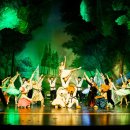 비바츠LED 태권발레 이미지