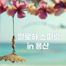 알로하클래스 이미지