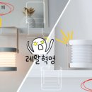 엘듀 이미지
