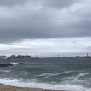 초당커피정미소 이미지