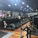 다듬피트니스 이미지