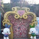 이레메디케어 이미지