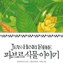 식물이야기 네이버블로그