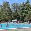 스시 캘리포니아 이미지