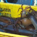 풍년마트 이미지