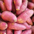 원투HIT복싱 이미지