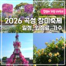 나영마켓 - 고양시 덕양구 충경로 44 | 2026 곡성 장미축제 일정 입장료 가수 실시간 개화상황