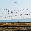 발산농장 이미지