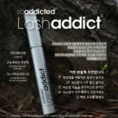 아이다속눈썹