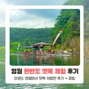 한반도펜션 | 영월 가볼만한 곳 한반도 뗏목마을 추천 후기 (주차, 입장료)