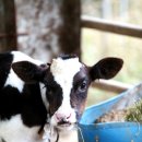 선우목장 이미지