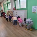 안동강남초등학교 이미지