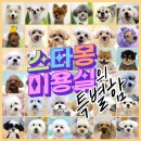 (주)스타몽 이미지