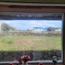 제주작은별 이미지