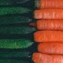 신촌힐링요양병원 이미지