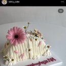 비니유케이크