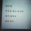 골목지기 이미지