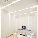 펫로스 케어 이미지