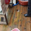 병기호 좌대낚시터 이미지