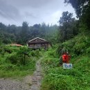 4695 | 춘천 찻집 내돈내산 [다심원] 솔직후기🍽 : 차분하고 평화로운 춘천 차마카세❣️