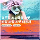명성장 | 당신이 모르는 요론섬 스노쿨링+노을 스팟 대공개
