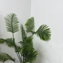 플레리르 이미지