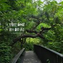 청운기획 - 안양시 만안구 안양로406번길 20 | 서울 대중교통으로 가볼만한곳 인왕산둘레길 걷기 좋은 코스 청운문학도서관 솔직후기