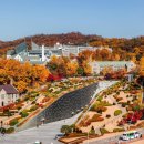 다비다수학학원 | 풍무동 영어학원 다비다학원 대학교탐방 후기 (이화여자대학교/연세대학교/신촌투어)