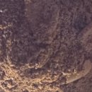 원두경로당 이미지