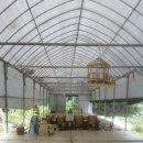 콩깍지민박 이미지