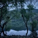 (주)코클릭 이미지