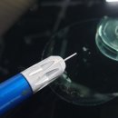 덴트하는남자