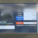 엘스키즈