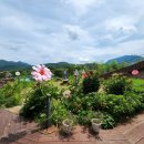 덕곡축산 이미지