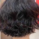 아스콧헤어 이미지