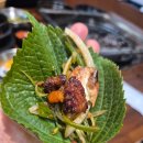 WR(서울특별시 강서구)-[마곡동로2길]-상-1 | [서울/양천향교 고기집] 고기별장,마곡 맛집 서울식물원 맛집 발산 맛집