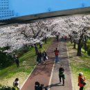 본도시락 부산사상점 이미지