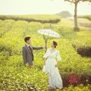 스팟스튜디오 이미지