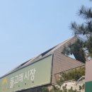 돌고래손칼국수 이미지