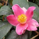 (유)현유 이미지