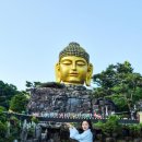 부처님오신날 사찰 추천 와우정사 후기 | 용인 데이트로 다녀온 이색 사찰