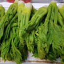 소라랑문어랑 이미지