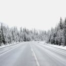 아리랑 행정사 사무소 이미지