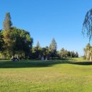 엘프라도 이미지