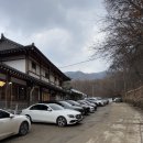 그리네 사바나 이미지