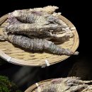 대한건재 이미지