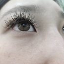 플로라뷰티 이미지