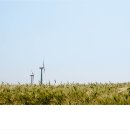 초록바람 이미지