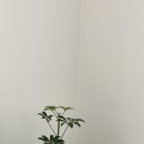 화신식물원 이미지